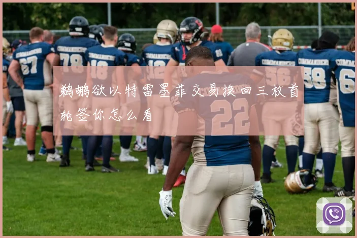 鹈鹕欲以特雷墨菲交易换回三枚首轮签你怎么看