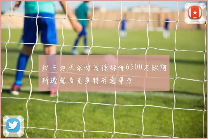 纽卡为沃尔特马德标价6500万欧阿斯透露马竞多特有意争夺